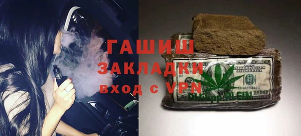 стаф Ельня