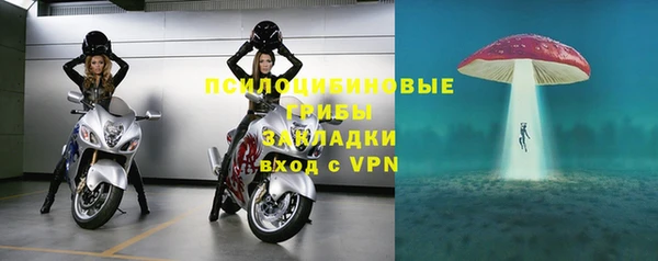 крисы Елизово