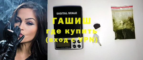 стаф Ельня