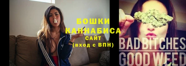 стаф Ельня