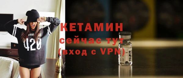 стаф Ельня