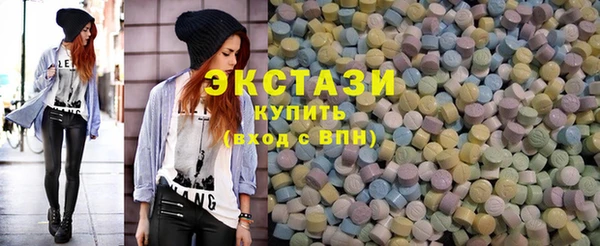 стаф Ельня