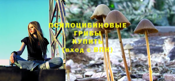 ALPHA PVP Осинники