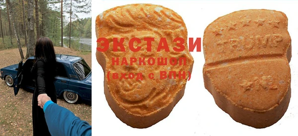 стаф Ельня