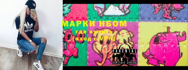 стаф Ельня