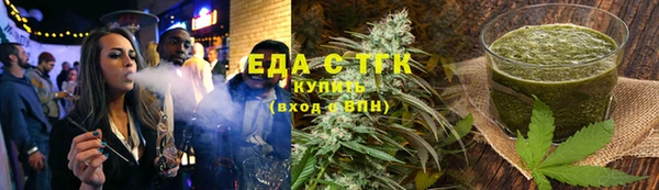 стаф Ельня
