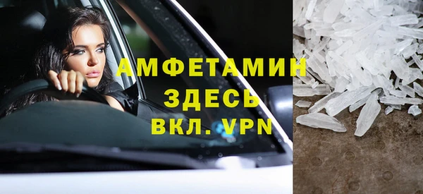 стаф Ельня