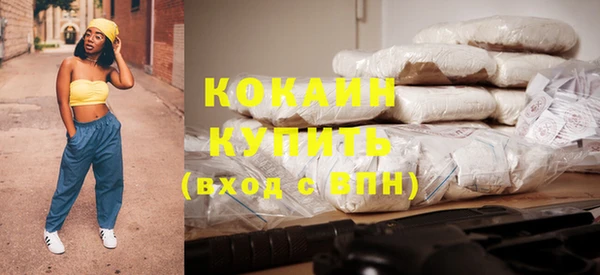 эйфоретик Няндома