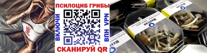 Галлюциногенные грибы GOLDEN TEACHER  закладка  Приозерск 