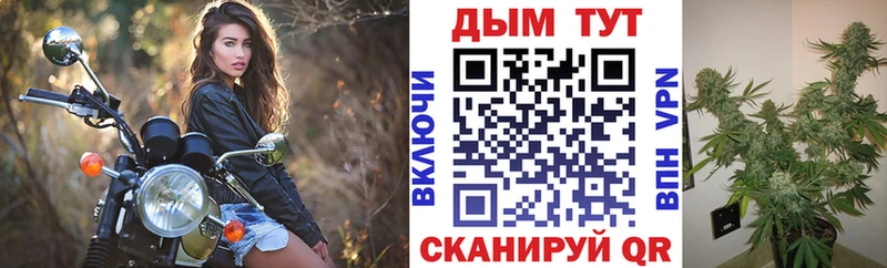 Конопля LSD WEED  цена наркотик  Приозерск 